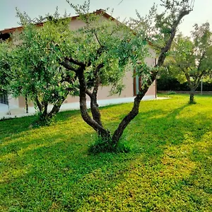 Il Melograno Lucca